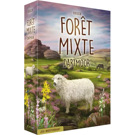 Forêt Mixte - Dartmoor