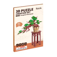 Maquette - Bois - Rolife - Bonsaï de pin à feuilles persistantes