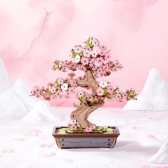 Maquette - Bois - Rolife - Sakura Bonsaï